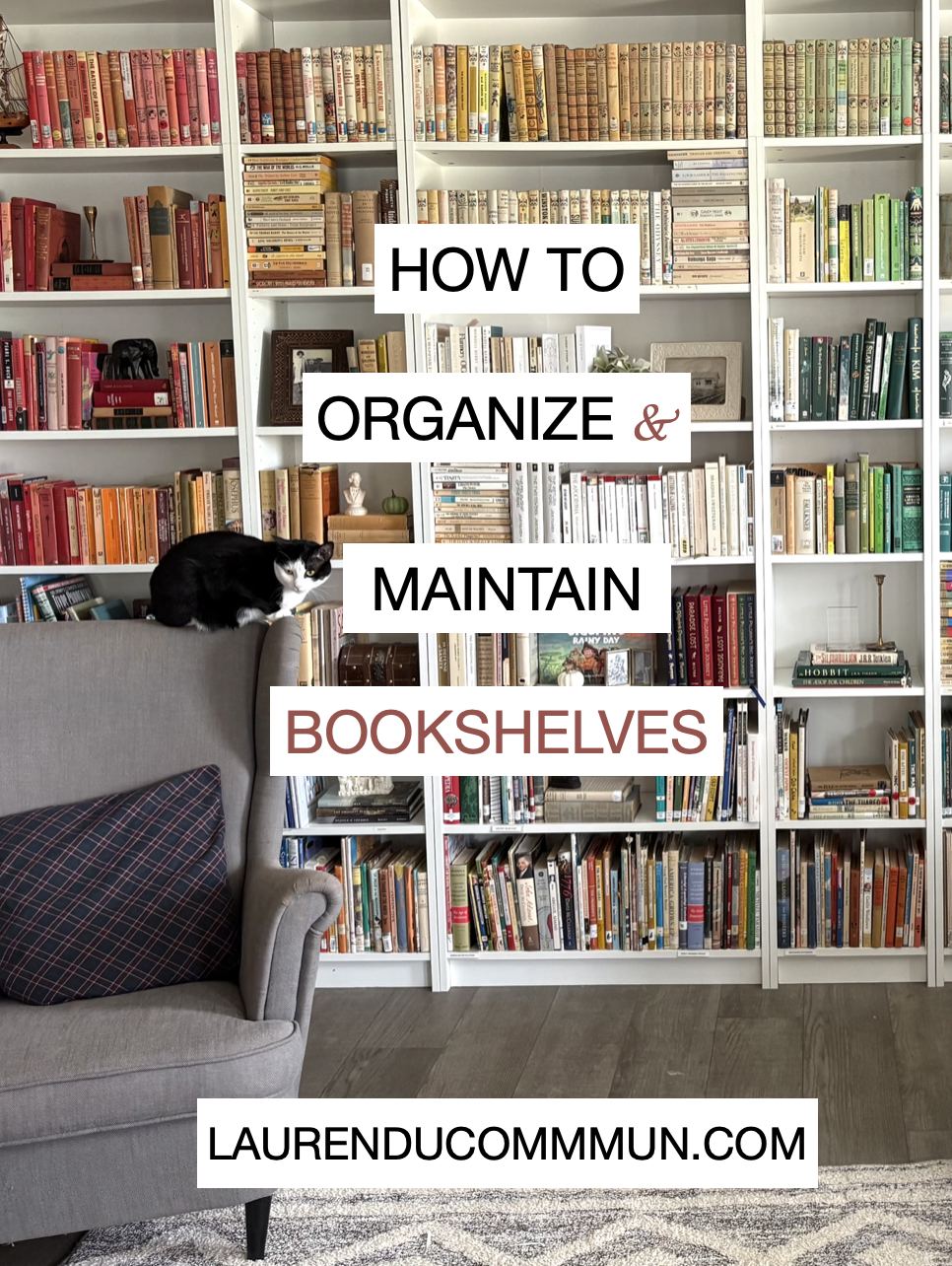 How to Organize and Maintain Your Book&nbsp;Shelves